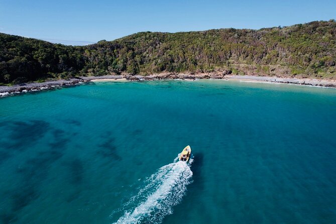 Noosa: Ocean Adventure & Dolphin Safari - Should you book the Noosa Dolphin Safari?
