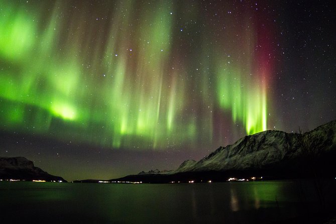 Northern Lights Safari from Tromso - Key points before you book