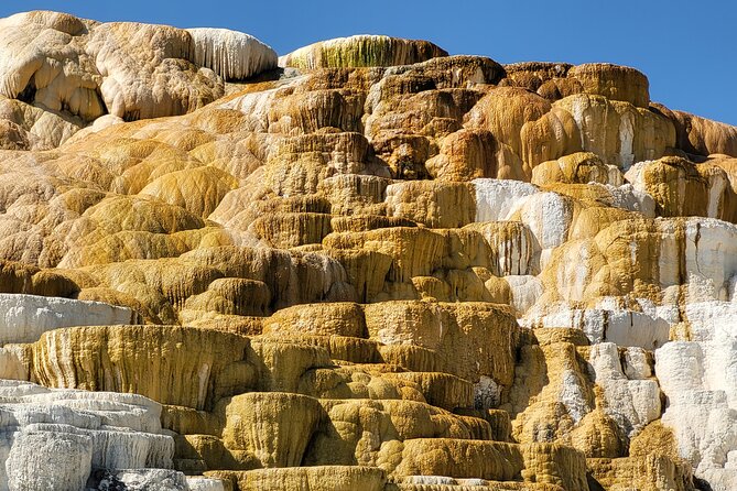 Northern Yellowstone Safari from Cody, WY - Lamar Valley, the wildlife heart of the morning