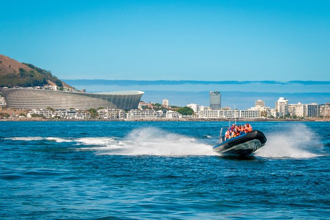 Ocean Safari - Comfort, safety, and rough-water concerns