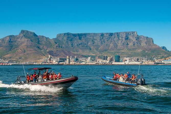 Ocean Safari - Booking advice for families, wildlife fans, and cautious riders