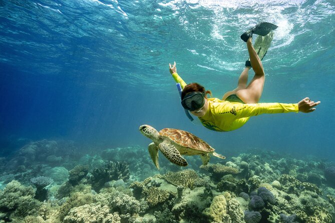Ocean Safari Great Barrier Reef Experience in Cape Tribulation - Why Cape Tribulation makes this reef trip different