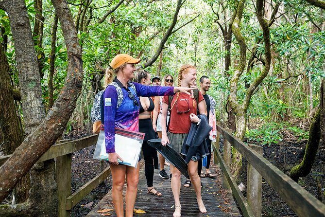 Ocean Safari Great Barrier Reef Experience in Cape Tribulation - Who will enjoy this Cape Tribulation outing