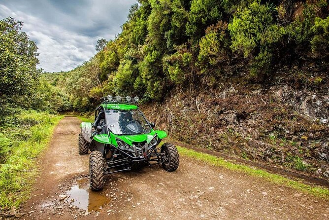 Off-road Buggy Safari in Crete with a Guide - Olive oil at Vasilakis in Neapoli