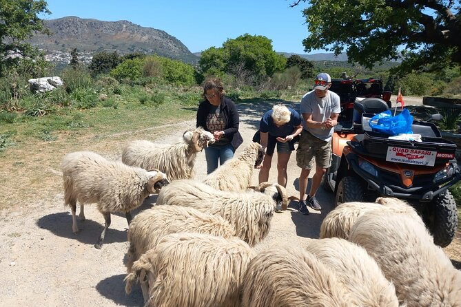 Off-road Buggy Safari in Crete with a Guide - Starting in Malia with the paperwork