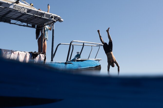 Offshore Wildlife Safari and Reef Snorkel - Key points to know before booking