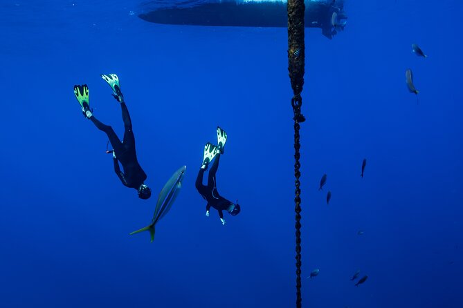 Offshore Wildlife Safari and Reef Snorkel - Who should book this Kona safari?