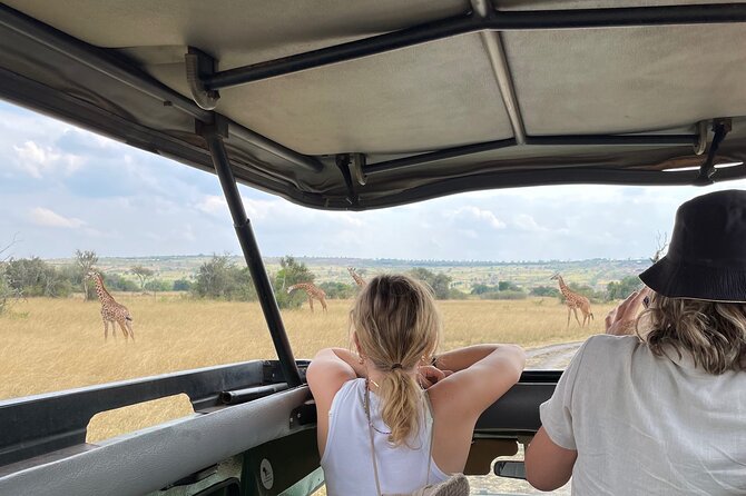 One Day Akagera Wildlife Safari - What the Big Five promise really means