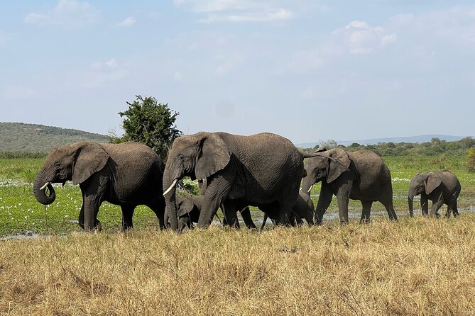 One Day Akagera Wildlife Safari - Lunch beside Lake Mihindi