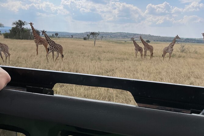 One Day Akagera Wildlife Safari - Leaving Kigali before the roads get busy