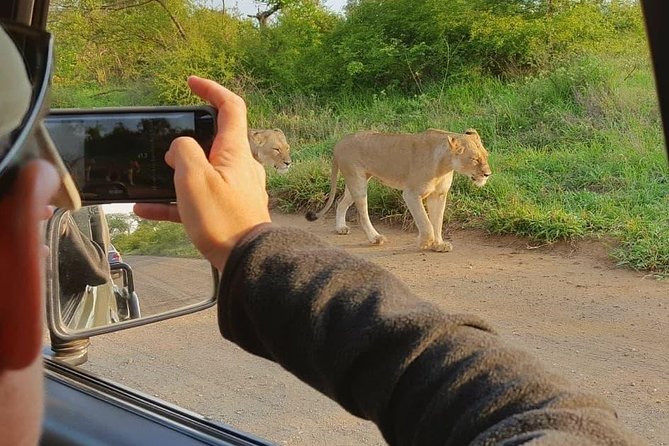 Open Vehical Safari in Kruger National Park Half Day - Starting From Marloth Park and Nearby Towns