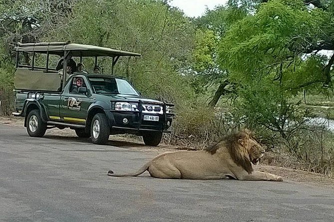 Open Vehical Safari in Kruger National Park Half Day - Entering Kruger National Park in an Open Vehicle