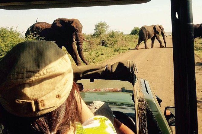 Open Vehical Safari in Kruger National Park Half Day - A Six-Hour Search for Kruger Wildlife