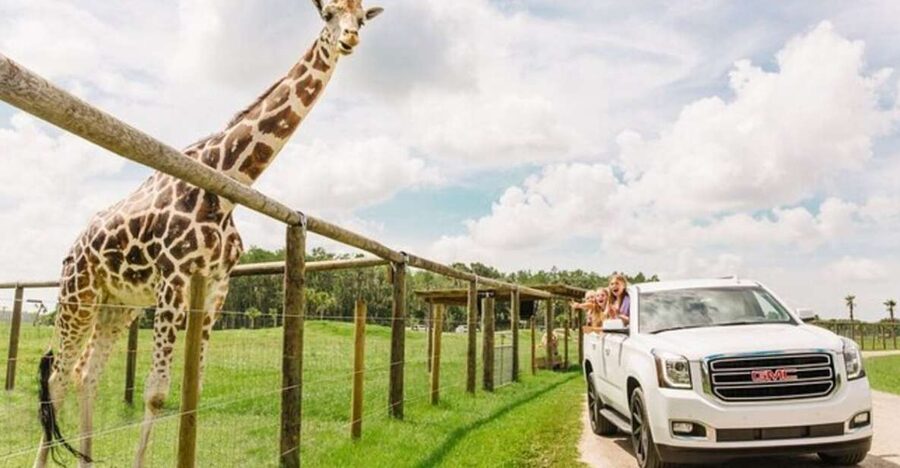 Orlando: Drive-Thru Safari Park at Wild Florida - Driving the Gravel Paths at Five Miles per Hour