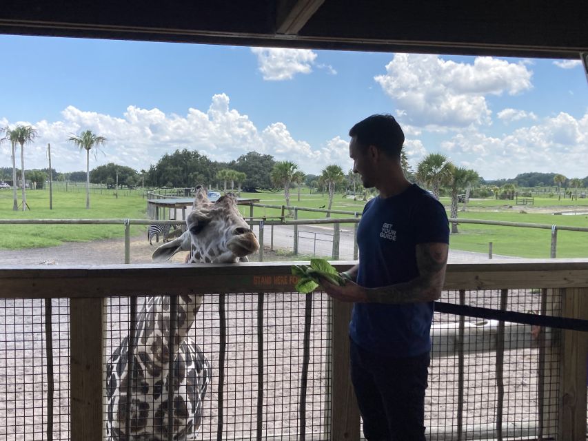 Orlando: Drive-Thru Safari Park at Wild Florida - The Included Gator Park