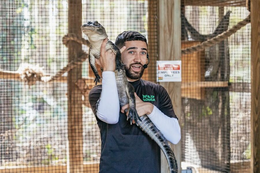 Orlando: Drive-Thru Safari Park at Wild Florida - Getting There and Planning Your Time