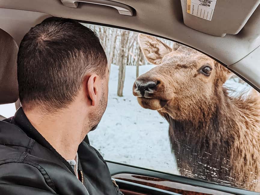 Ottawa: Private Parc Omega Wildlife Safari – Winter Magic - Choosing the best season for your visit