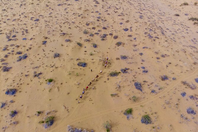 Overnight Camel Safari - Sleeping under the Stars - Key points before you book