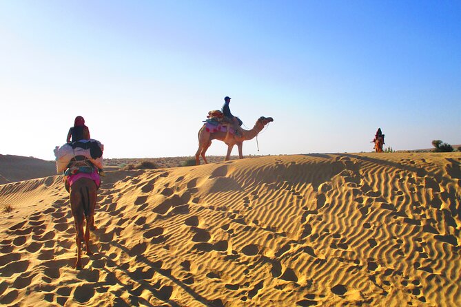 Overnight Camel Safari - Sleeping under the Stars - Leaving Jaisalmer at 1:30 p.m.