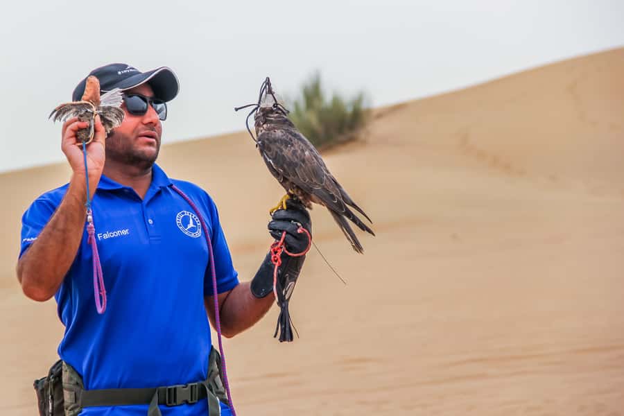 Overnight Dubai Desert Safari with BBQ Dinner - A quick introduction to camels and sandboarding