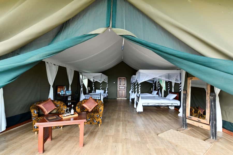 Overnight Private Safari To Masai Mara - The afternoon game drive inside the reserve