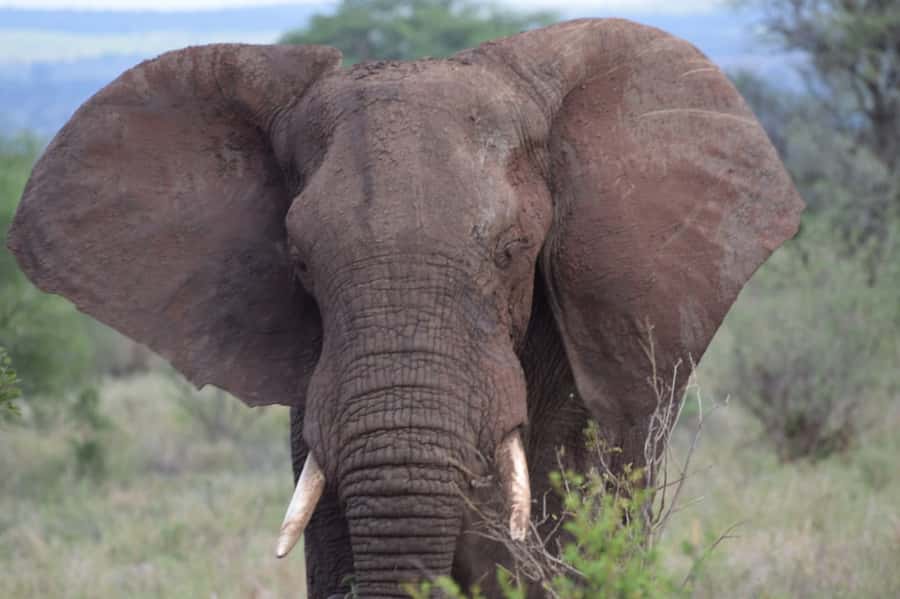 Overnight Private Safari To Masai Mara - Sleeping near the reserve