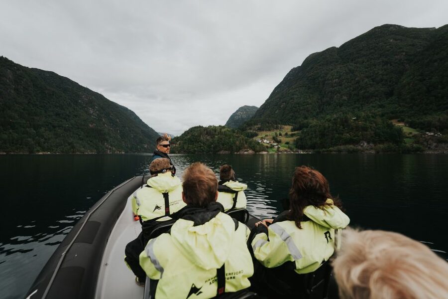 Øystese: Hardangerfjord RIB safari to the Fyksesund branch - A fast ride with a local voice