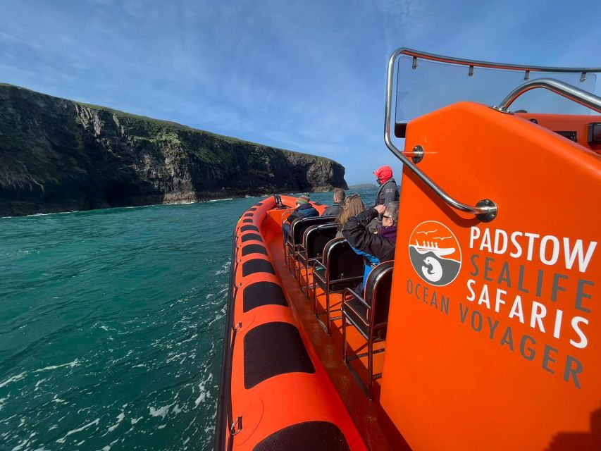 Padstow: Guided RIB Sealife Safari - North Cornwall’s cliffs and seabird colonies