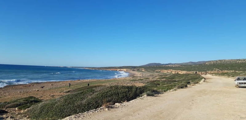 Paphos: Buggy Safari to Akamas Peninsula with Lunch - Lara Bay and the chance to swim at Turtle Bay