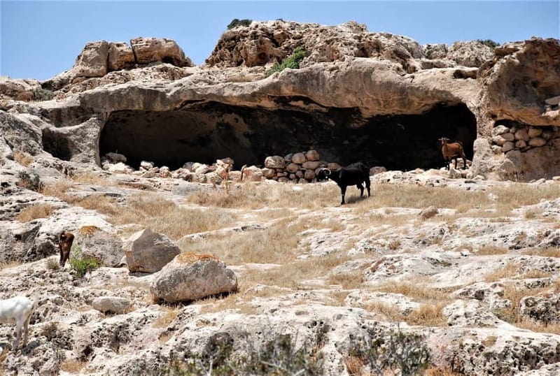 Paphos: Land Rover Jeep Safari Coastal Tour and Blue Lagoon - The Blue Lagoon: the day’s main reward