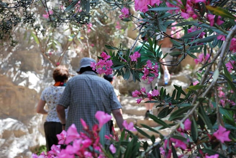 Paphos: Land Rover Jeep Safari Coastal Tour and Blue Lagoon - Lunch at a traditional taverna in Latchi