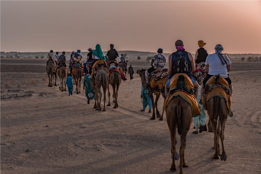 Peeps Billions of Star Experience with Desert & Camel Safari - What $33 really gets you