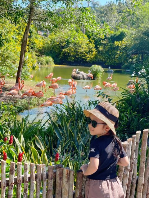 Phu Quoc: Vinpearl Safari Park Entry Ticket - Walking and cycling let you set your own pace