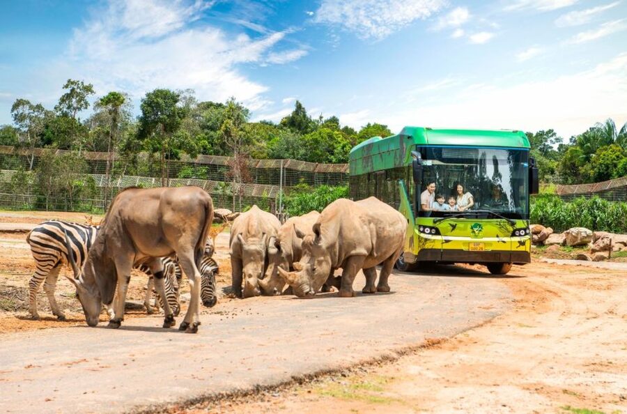 Phu Quoc: Vinpearl Safari Park Entry Ticket - The giraffe area is the park’s strongest animal moment