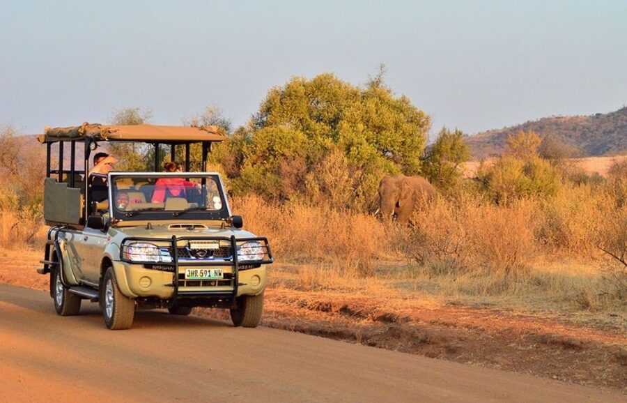 Pilanesberg Full-Day Shared Safari with Sun City Visit - The morning open 4x4 drive