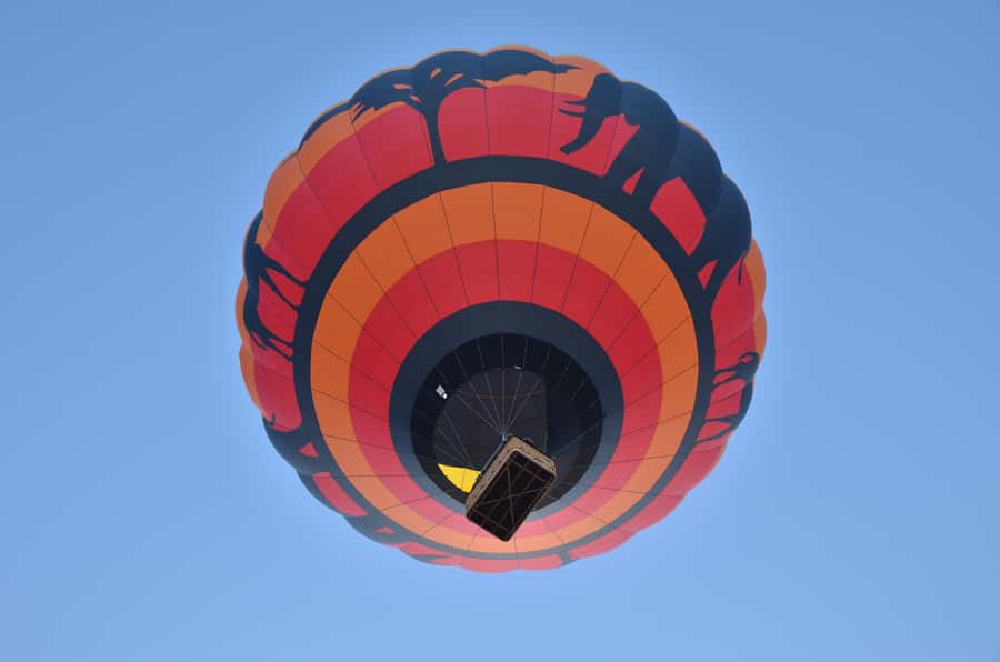 Pilanesberg National Park/Sun City Hot Air Balloon Safari - The early pickup and ride into the park
