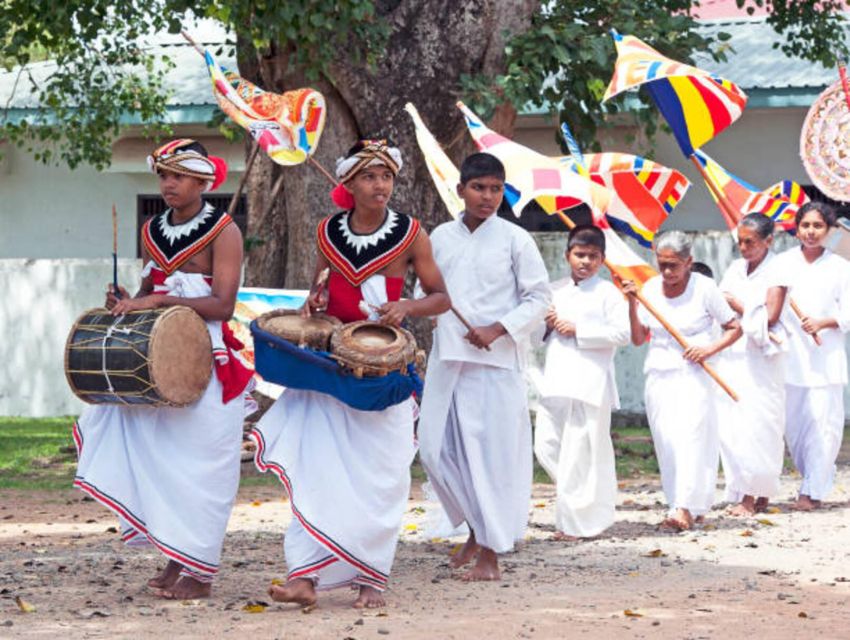 Polonnaruwa Day Tour With Minneriya NP Elephant Safari - Afternoon in Minneriya National Park