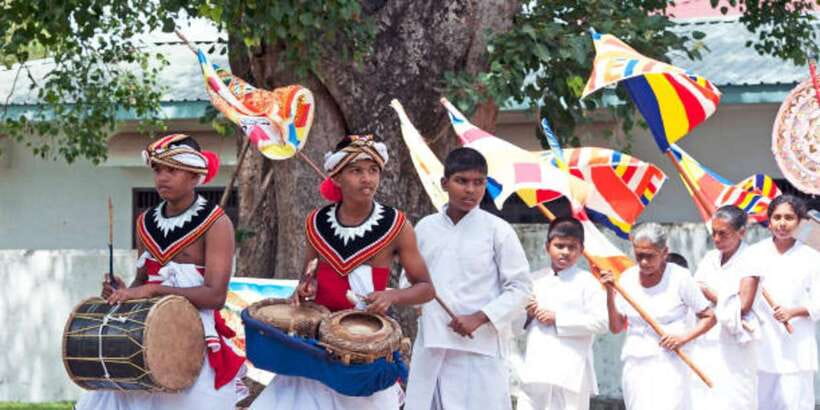 Polonnaruwa Day Tour With Minneriya NP Elephant Safari - Who will enjoy this day most?