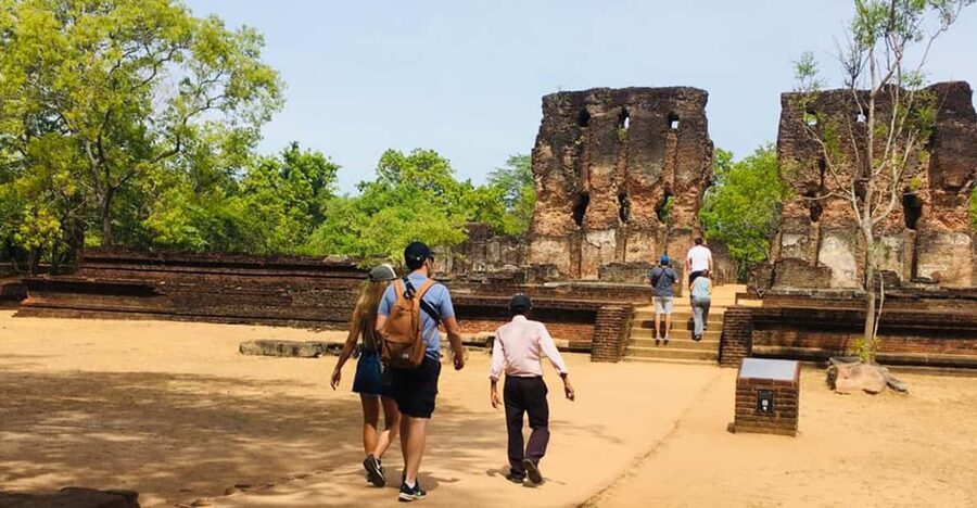 Polonnaruwa Sight Seeing Tour and Minneriya Elephant Safari - The Minneriya Elephant Gathering