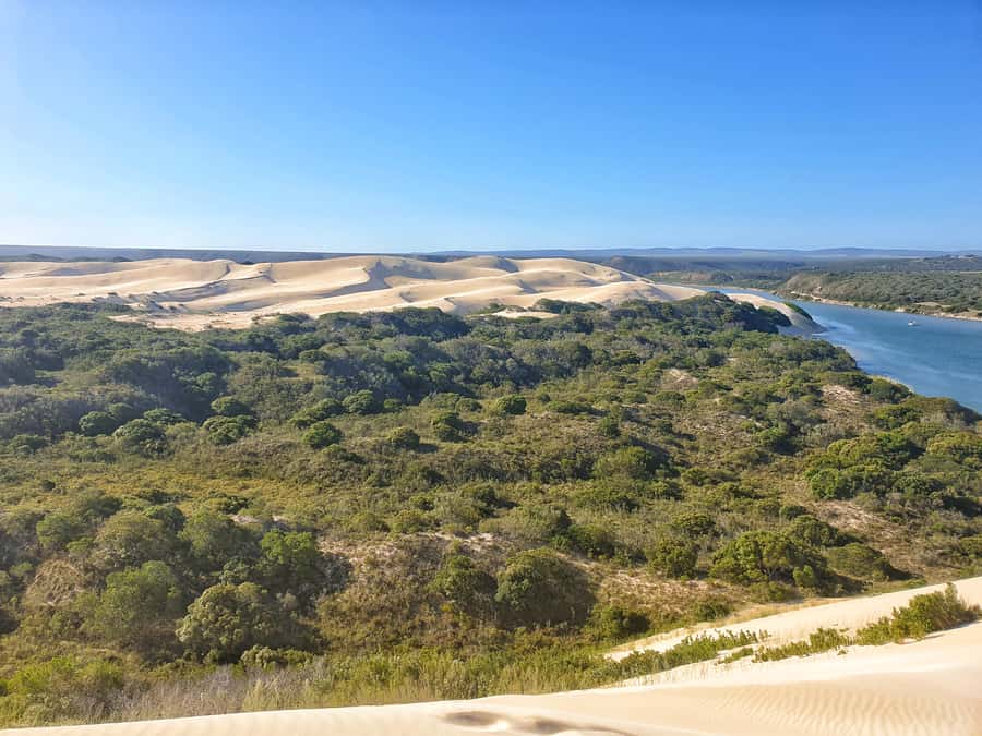 Port Elizabeth: 2-Day Addo Elephant Park Safari - Key points to know