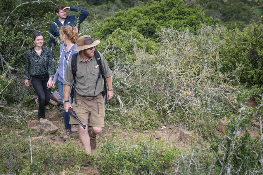 Port Elizabeth: 2-Day Addo Elephant Park Safari - The guides make or break the experience
