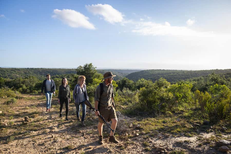 Port Elizabeth: 2-Day Addo Elephant Park Safari - What the $597 price really buys