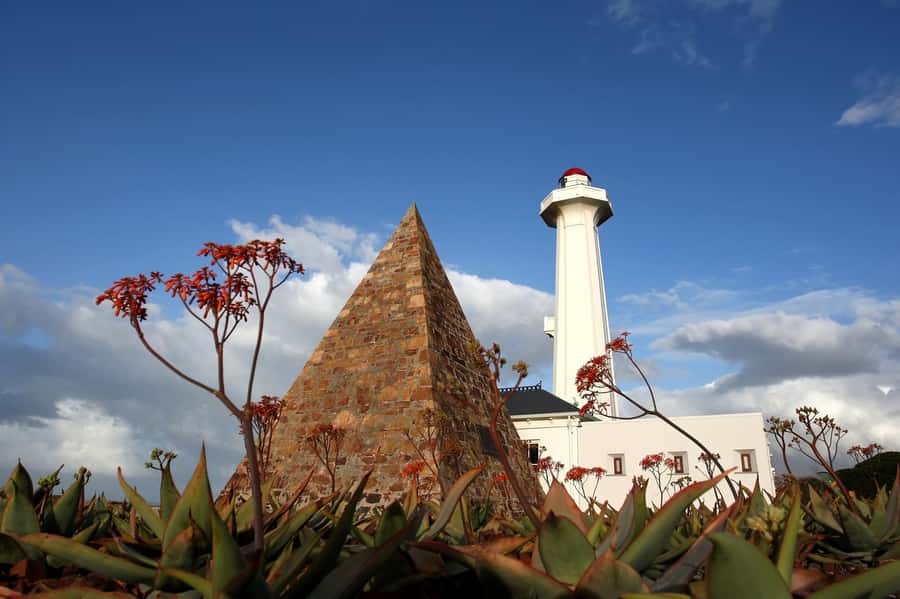 Port Elizabeth: 4x4 Wildlife Safari & City Sightseeing Tour - Key points to know before booking