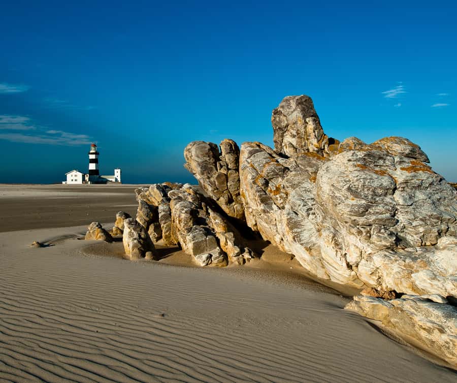 Port Elizabeth: 4x4 Wildlife Safari & City Sightseeing Tour - A full day of Port Elizabeth in one sweep