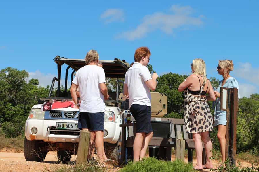 Port Elizabeth: Schotia Private Game Reserve Safari - Five things to know before you book