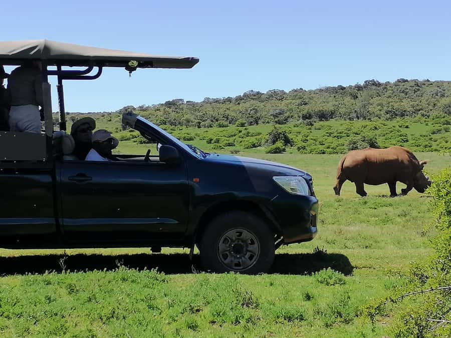 Port Elizabeth: Schotia Private Game Reserve Safari - The guide makes the difference