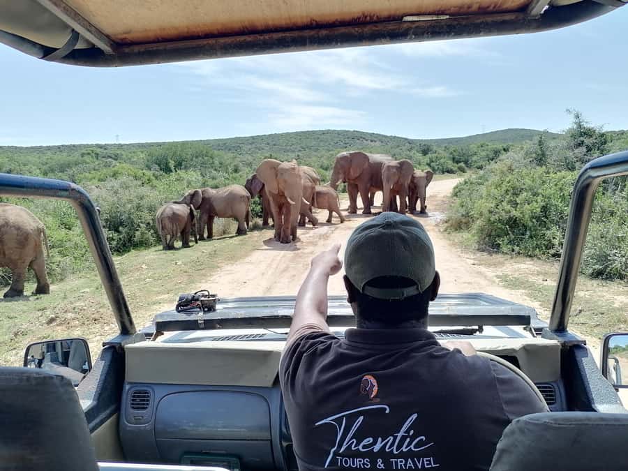 Port Elizabeth: Schotia Private Game Reserve Safari - What you might see at Schotia