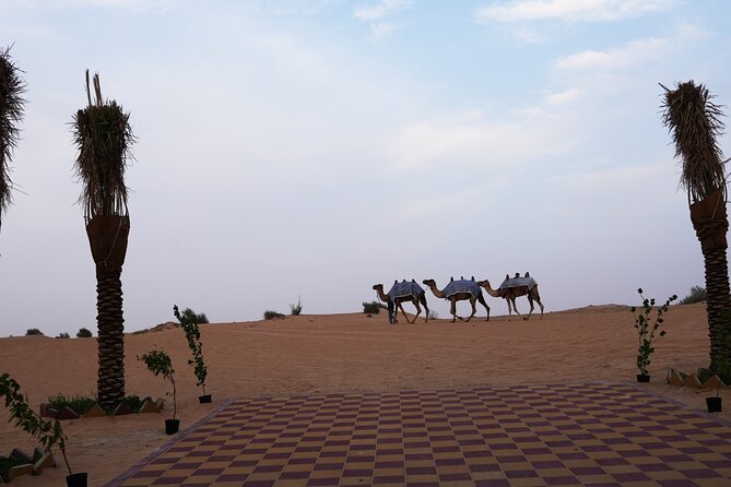 Premium Deluxe Dubai Safari with Camel Ride, Sandboard & BBQ - What the $65 price really covers