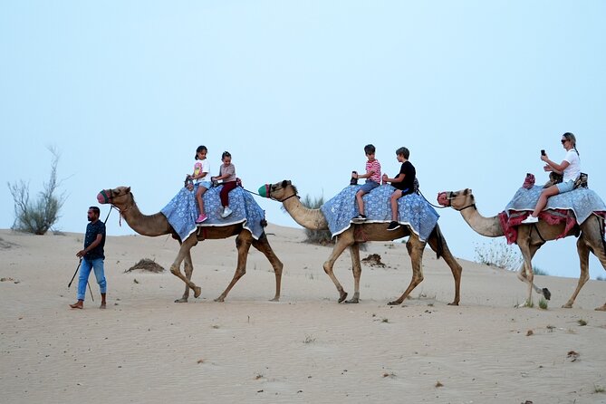 Premium Deluxe Dubai Safari with Camel Ride, Sandboard & BBQ - Pickup, group size, and the six-hour schedule