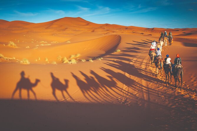 Premium Desert Safari with BBQ Dinner - Dubai - Arabic coffee, dates, and the first camp moments